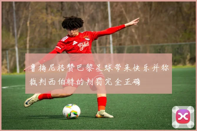 鲁梅尼格赞巴黎足球带来快乐并称裁判西伯特的判罚完全正确