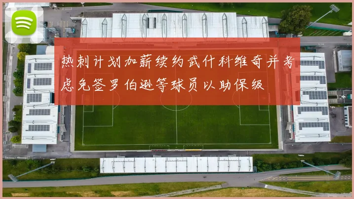 热刺计划加薪续约武什科维奇并考虑免签罗伯逊等球员以助保级